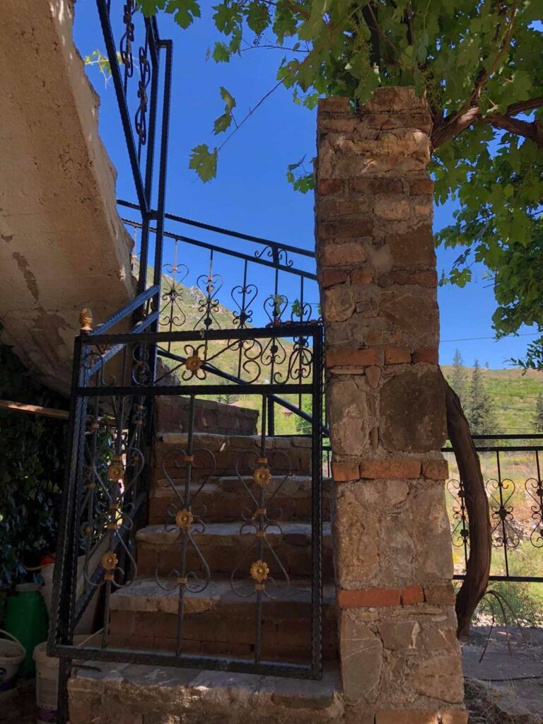 yeni_tas_oda_olympos